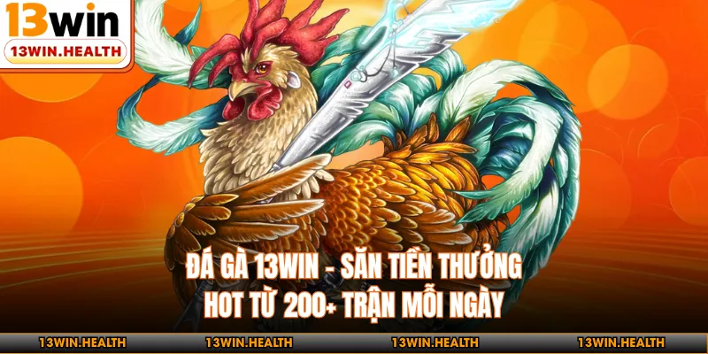 Đá Gà 13WIN - Săn Tiền Thưởng Hot Từ 200+ Trận Mỗi Ngày